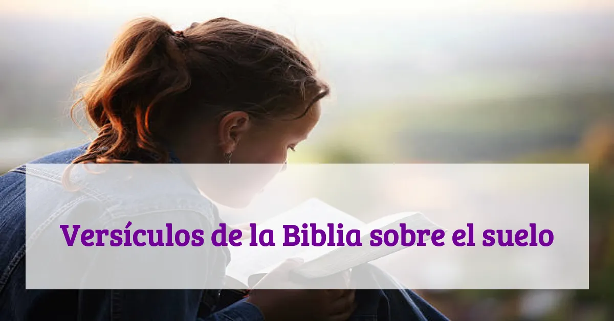 Versículos de la Biblia sobre el suelo