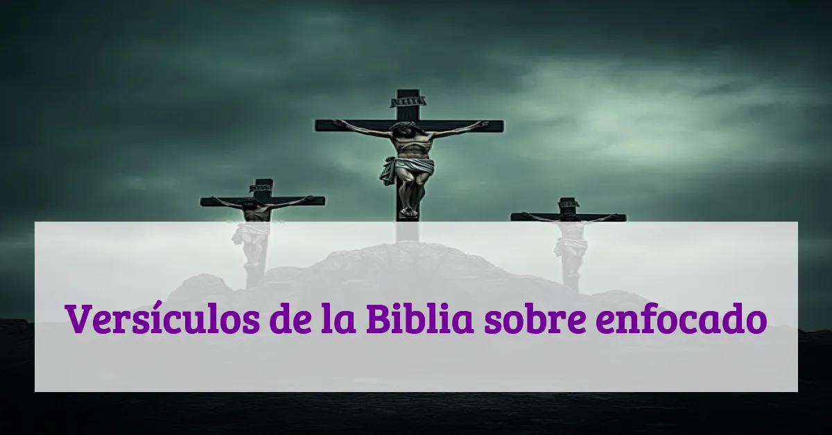 Versículos de la Biblia sobre enfocado