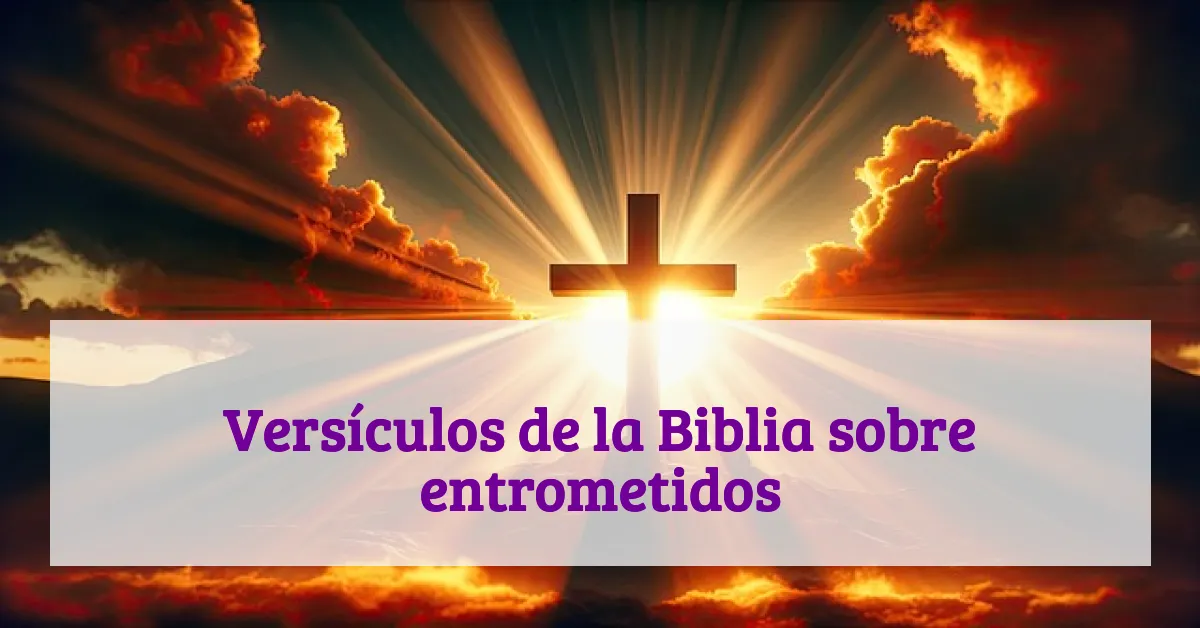 Versículos de la Biblia sobre entrometidos