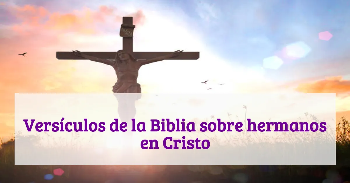 Versículos de la Biblia sobre hermanos en Cristo
