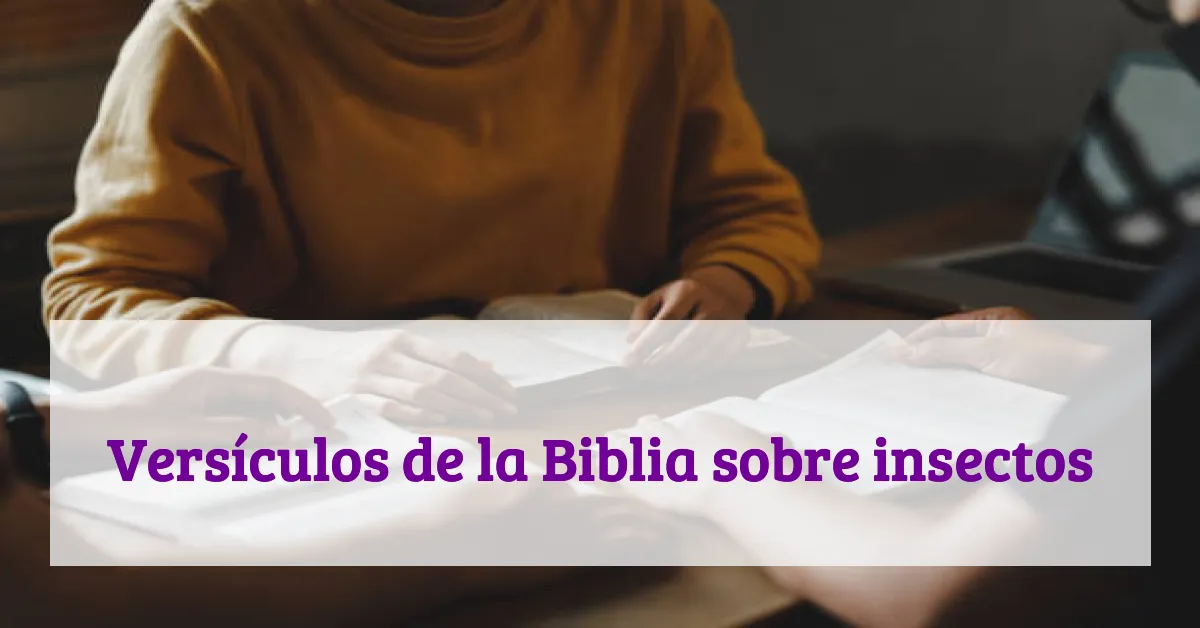 Versículos de la Biblia sobre insectos