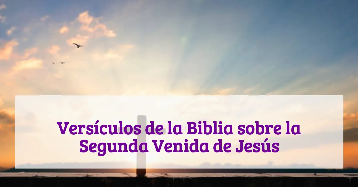 Versículos de la Biblia sobre la Segunda Venida de Jesús
