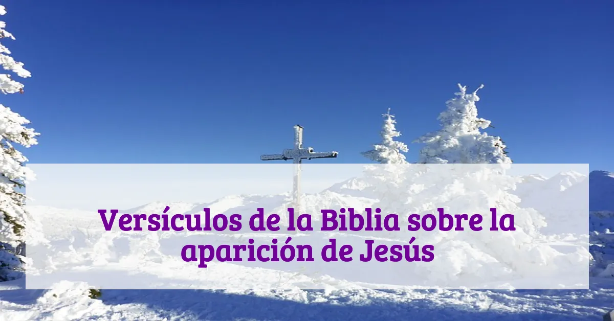 Versículos de la Biblia sobre la aparición de Jesús
