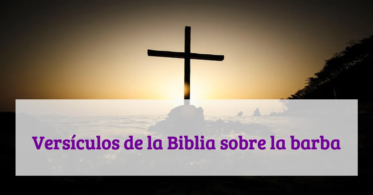 Versículos de la Biblia sobre la barba