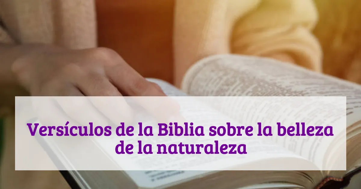 Versículos de la Biblia sobre la belleza de la naturaleza