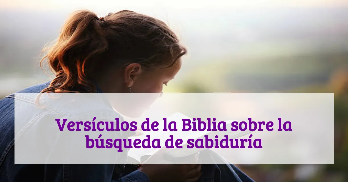 Versículos de la Biblia sobre la búsqueda de sabiduría