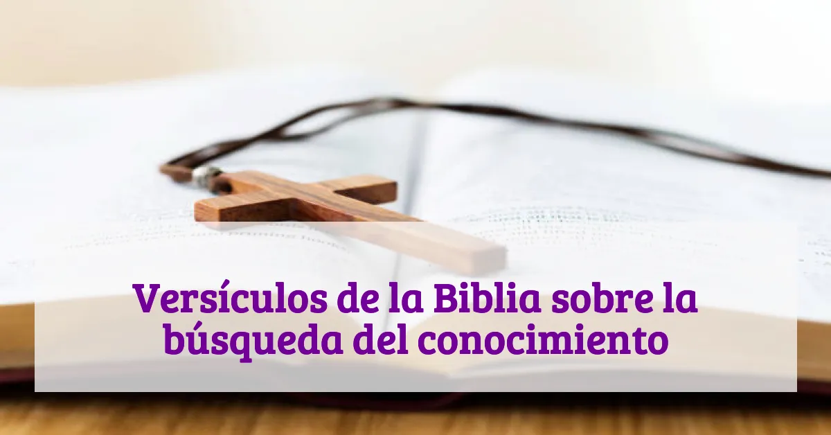 Versículos de la Biblia sobre la búsqueda del conocimiento