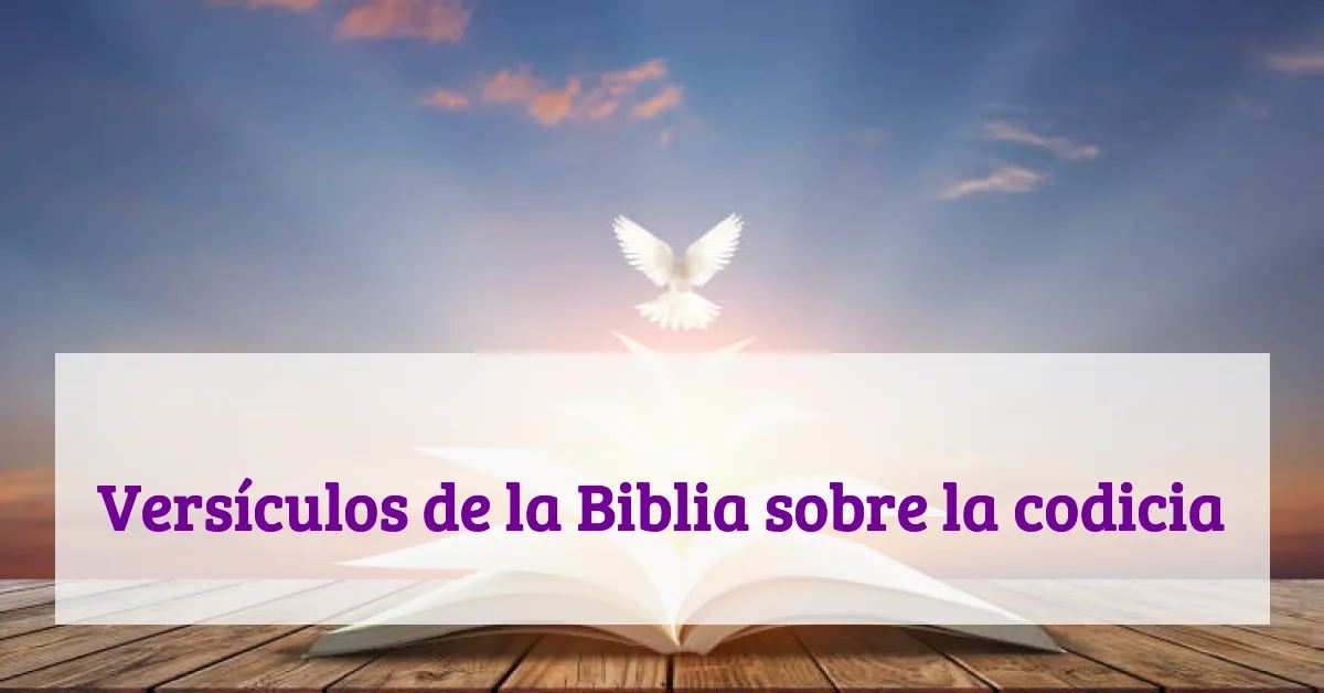 Versículos de la Biblia sobre la codicia