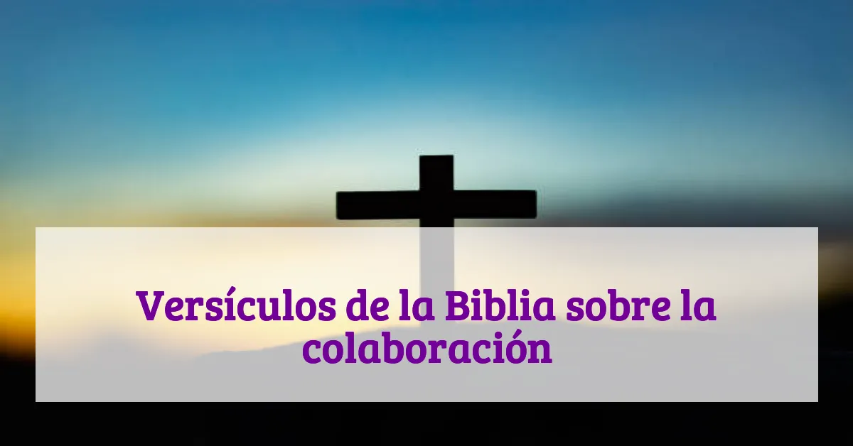 Versículos de la Biblia sobre la colaboración