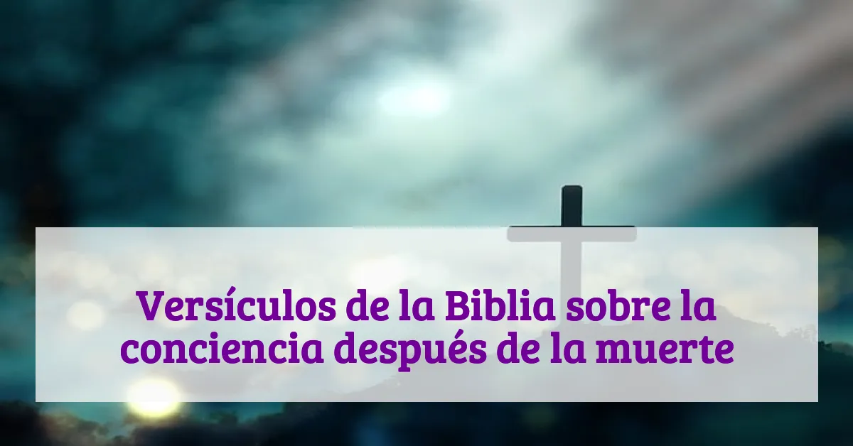 Versículos de la Biblia sobre la conciencia después de la muerte