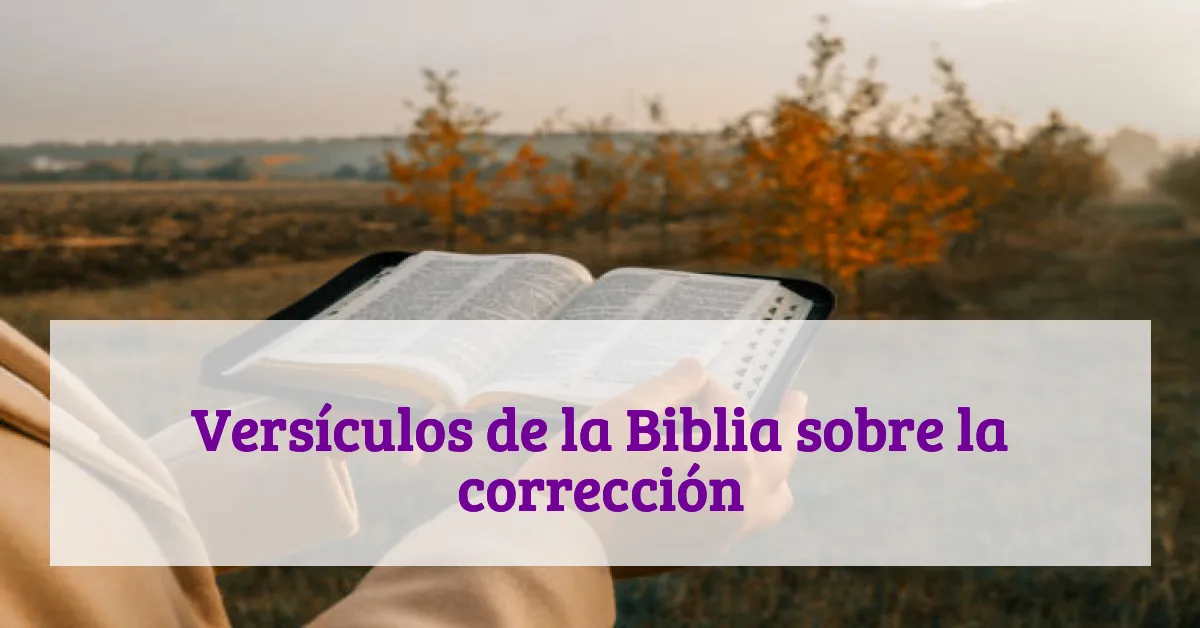 Versículos de la Biblia sobre la corrección