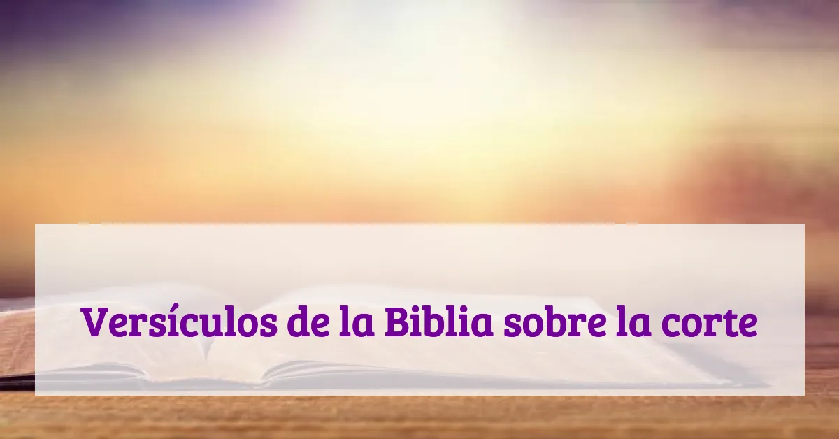 Versículos de la Biblia sobre la corte