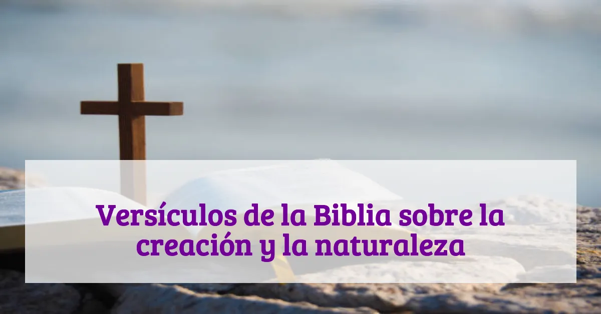 Versículos de la Biblia sobre la creación y la naturaleza