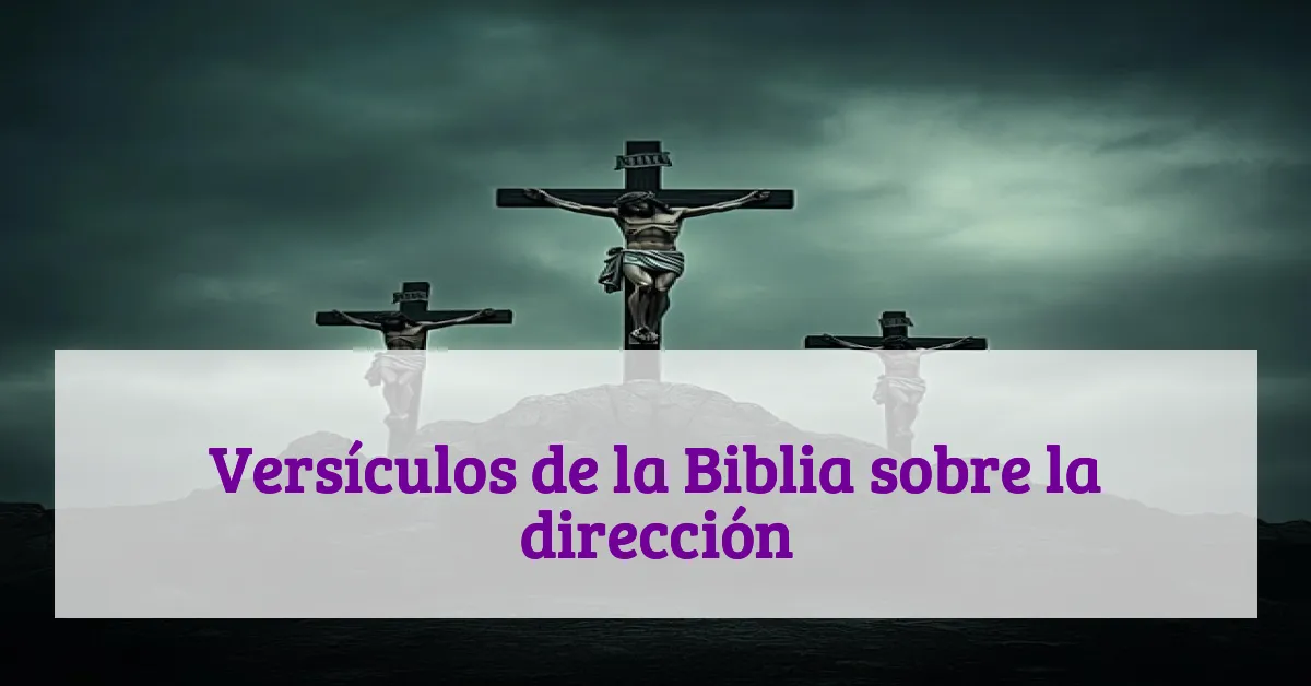 Versículos de la Biblia sobre la dirección