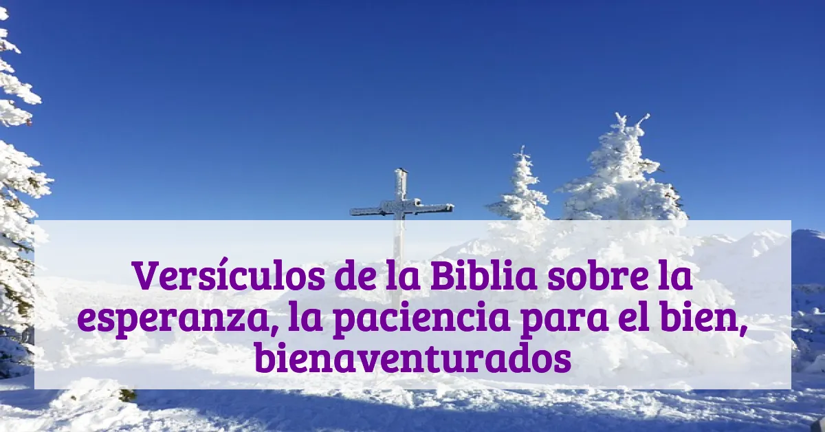 Versículos de la Biblia sobre la esperanza, la paciencia para el bien, bienaventurados