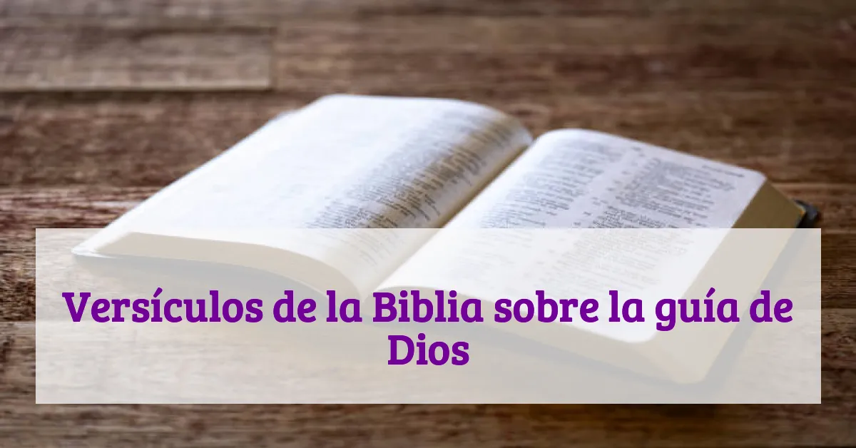 Versículos de la Biblia sobre la guía de Dios