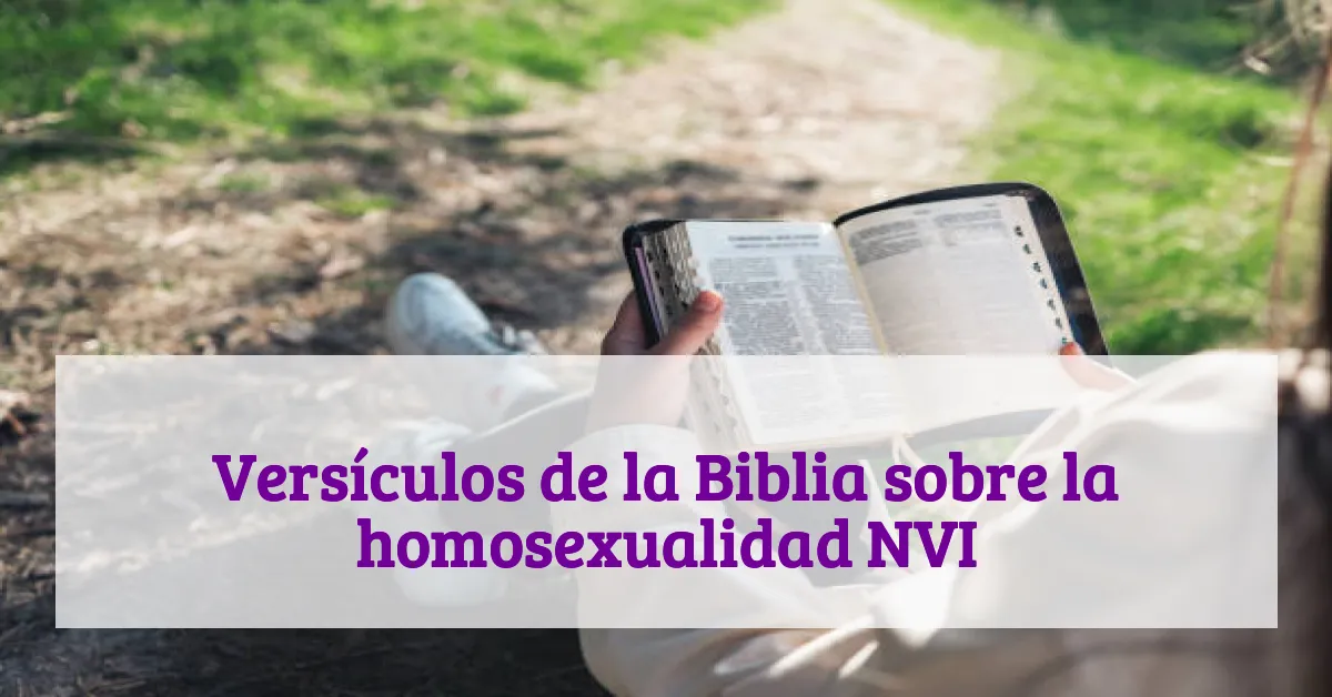 Versículos de la Biblia sobre la homosexualidad NVI