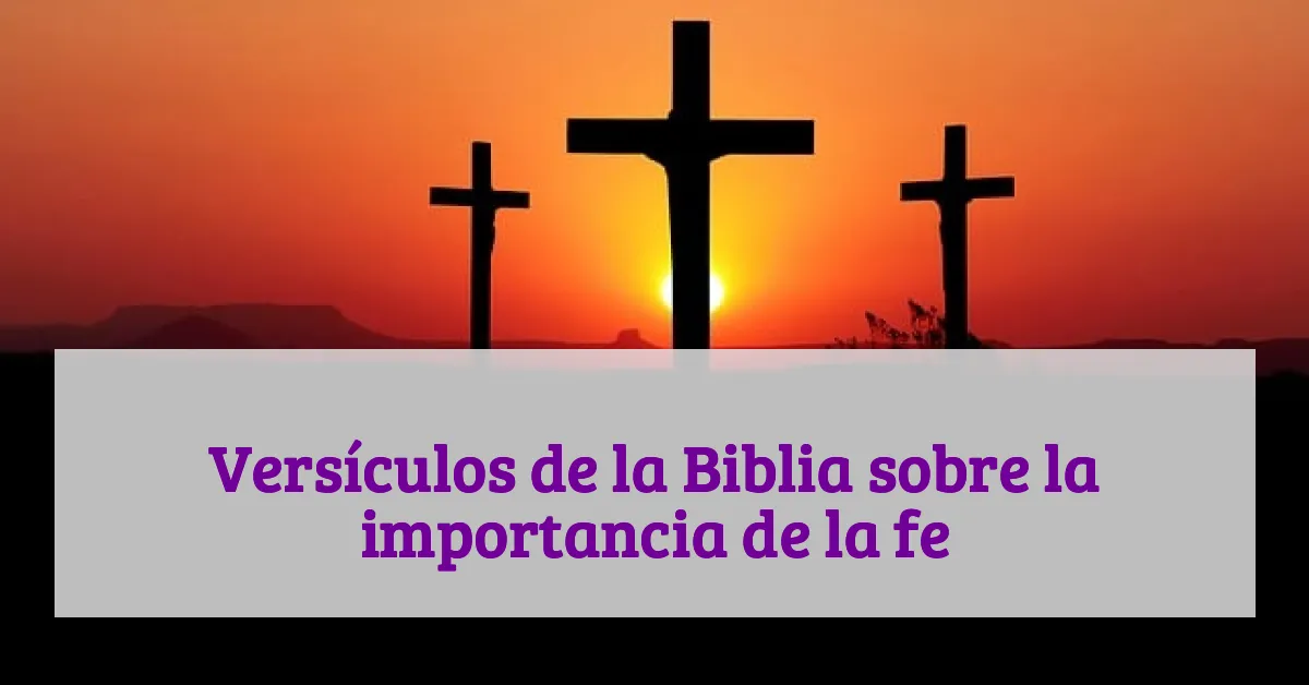 Versículos de la Biblia sobre la importancia de la fe