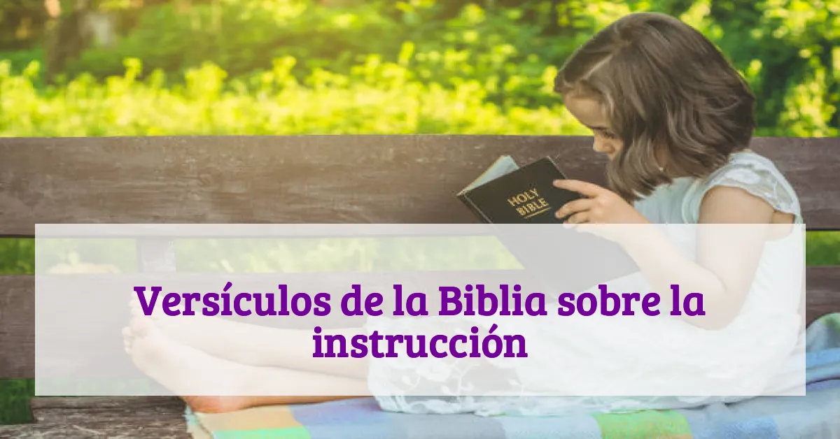 Versículos de la Biblia sobre la instrucción