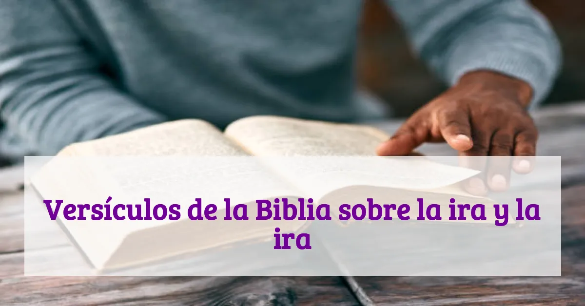 Versículos de la Biblia sobre la ira y la ira