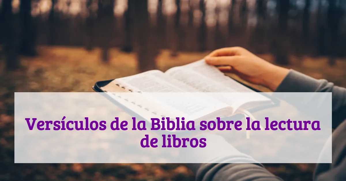 Versículos de la Biblia sobre la lectura de libros