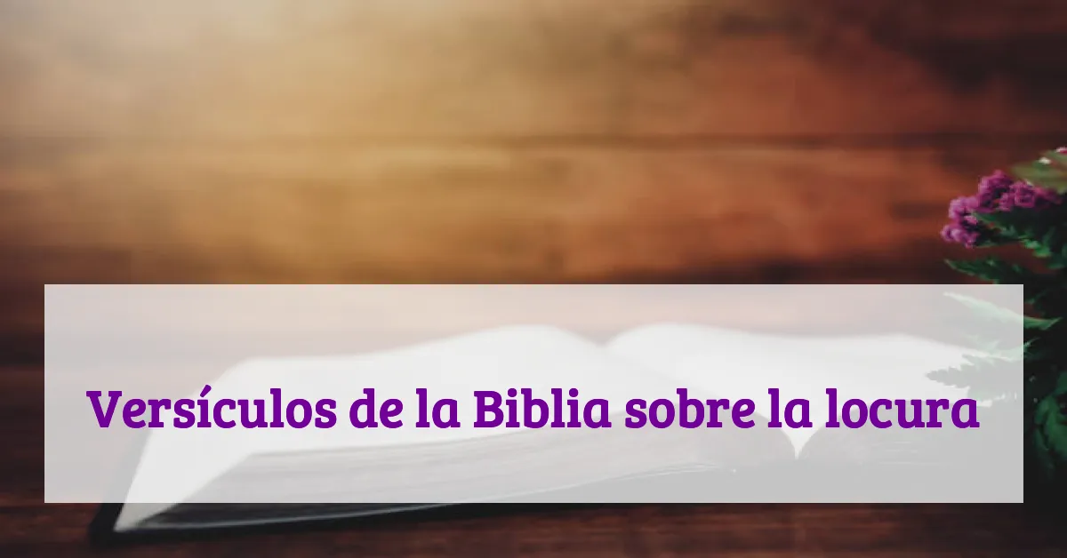 Versículos de la Biblia sobre la locura