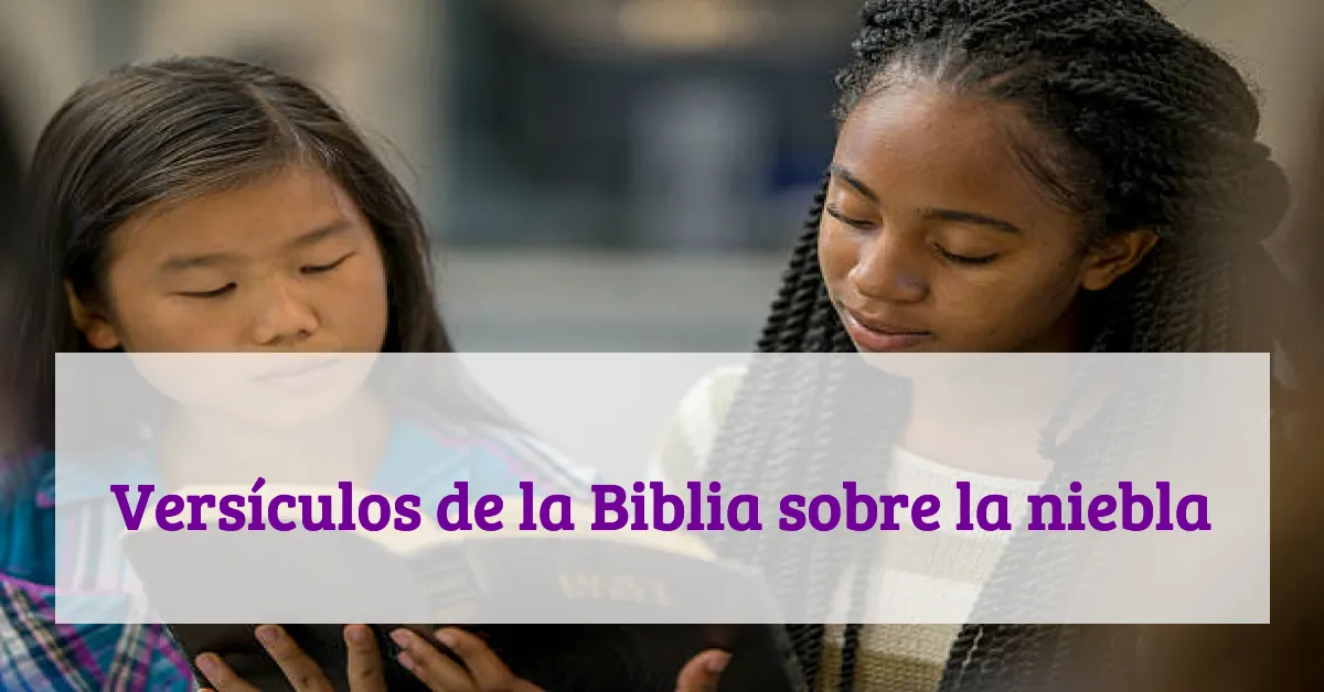 Versículos de la Biblia sobre la niebla