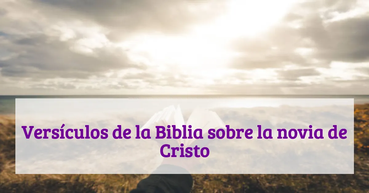 Versículos de la Biblia sobre la novia de Cristo