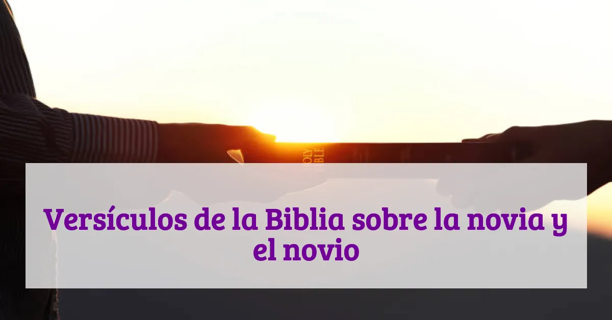 Versículos de la Biblia sobre la novia y el novio