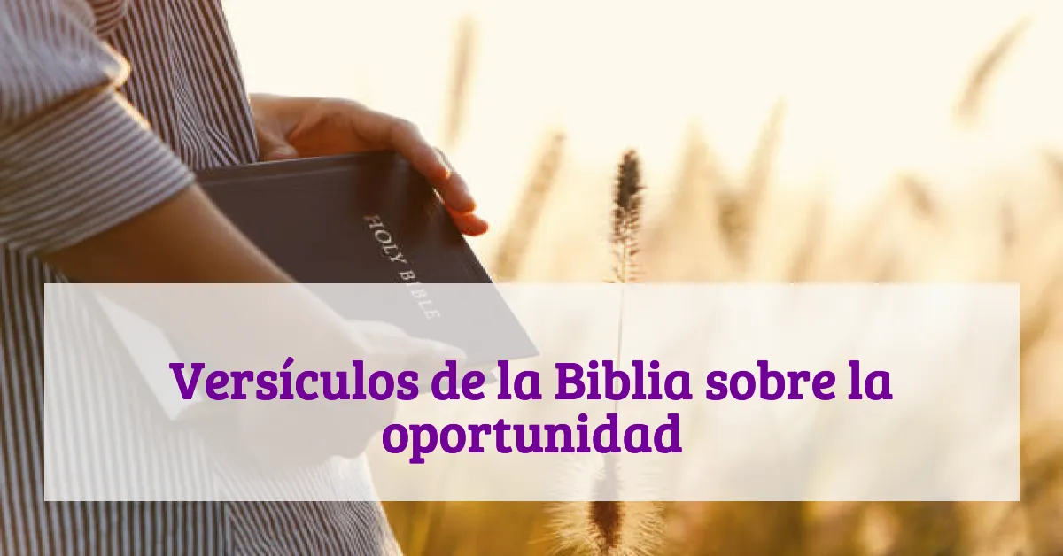 Versículos de la Biblia sobre la oportunidad