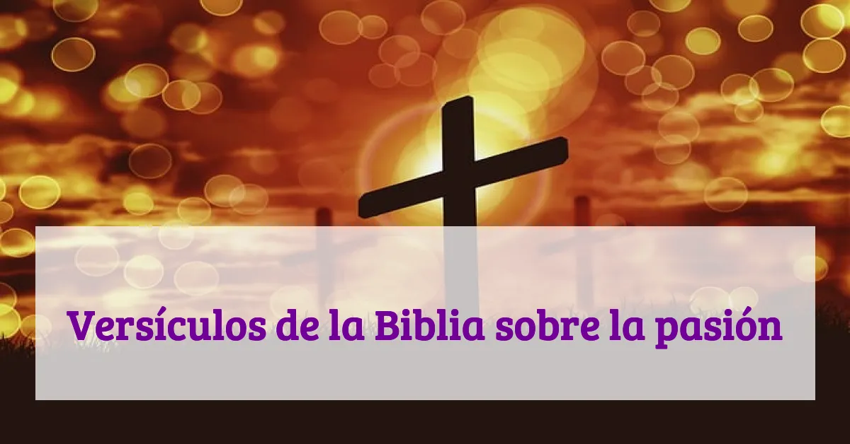 Versículos de la Biblia sobre la pasión