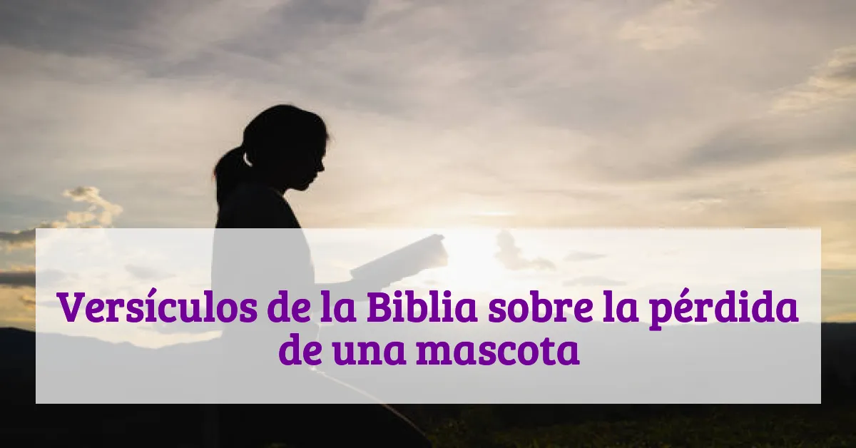 Versículos de la Biblia sobre la pérdida de una mascota