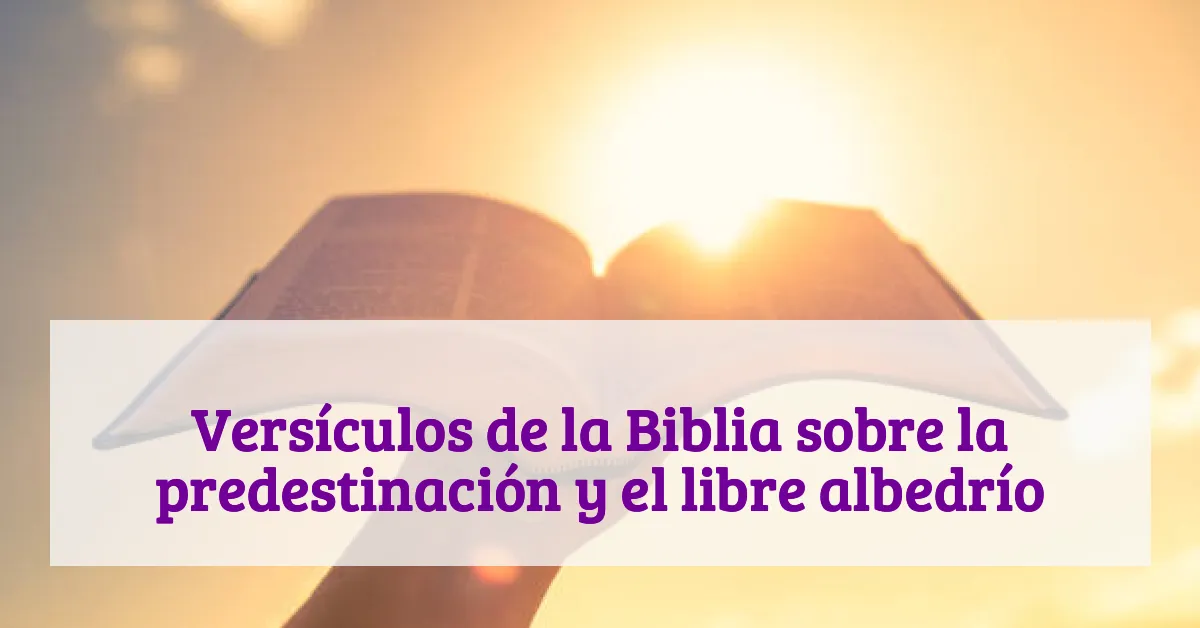 Versículos de la Biblia sobre la predestinación y el libre albedrío