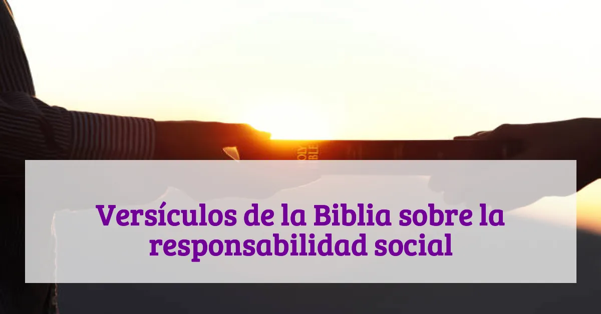 Versículos de la Biblia sobre la responsabilidad social