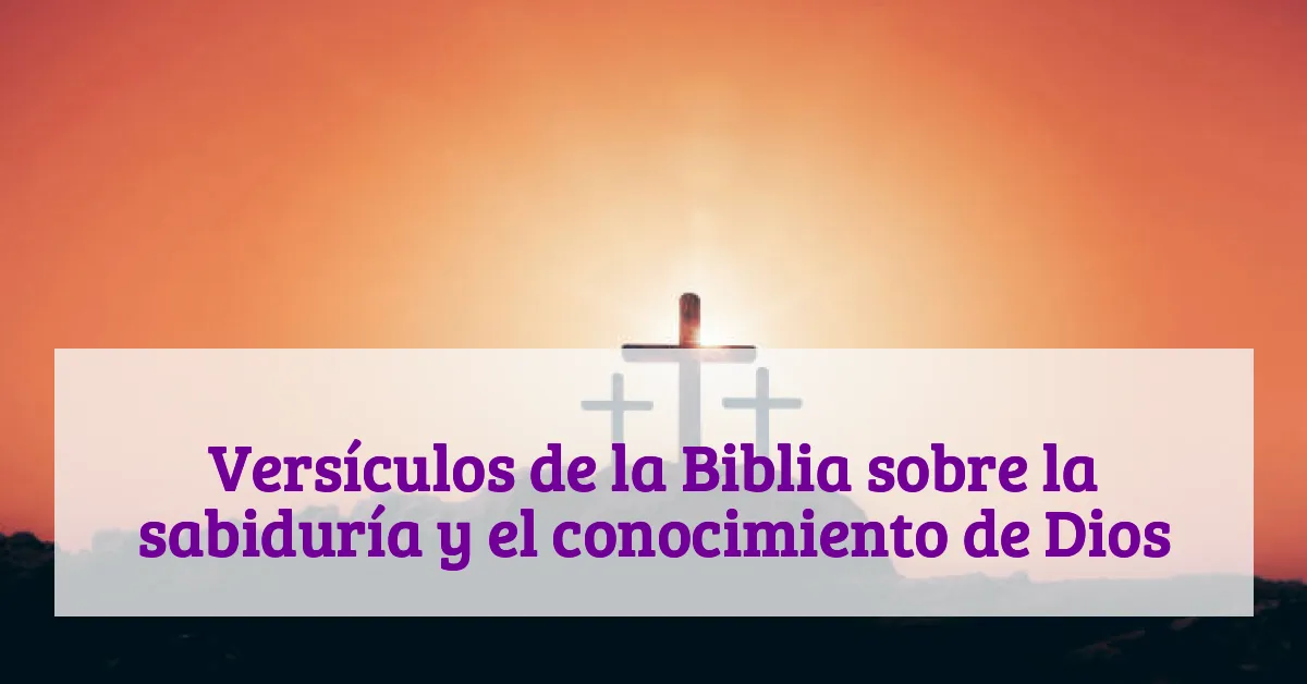 Versículos de la Biblia sobre la sabiduría y el conocimiento de Dios
