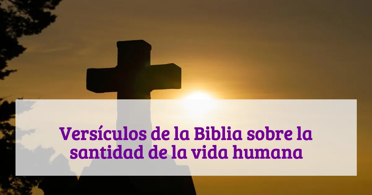 Versículos de la Biblia sobre la santidad de la vida humana