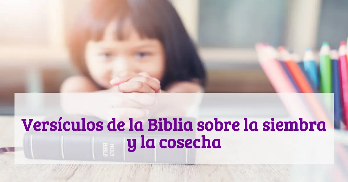 Versículos de la Biblia sobre la siembra y la cosecha
