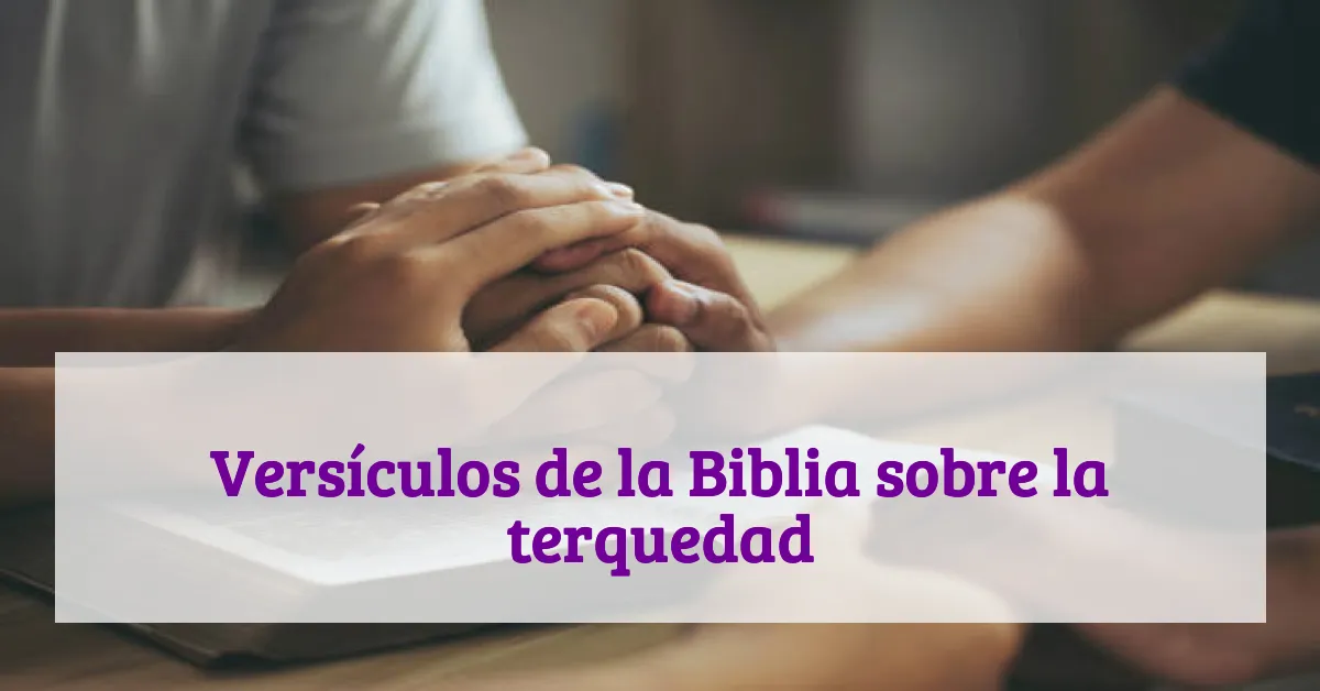 Versículos de la Biblia sobre la terquedad