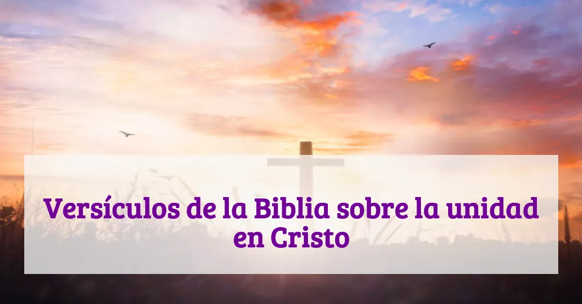 Versículos de la Biblia sobre la unidad en Cristo