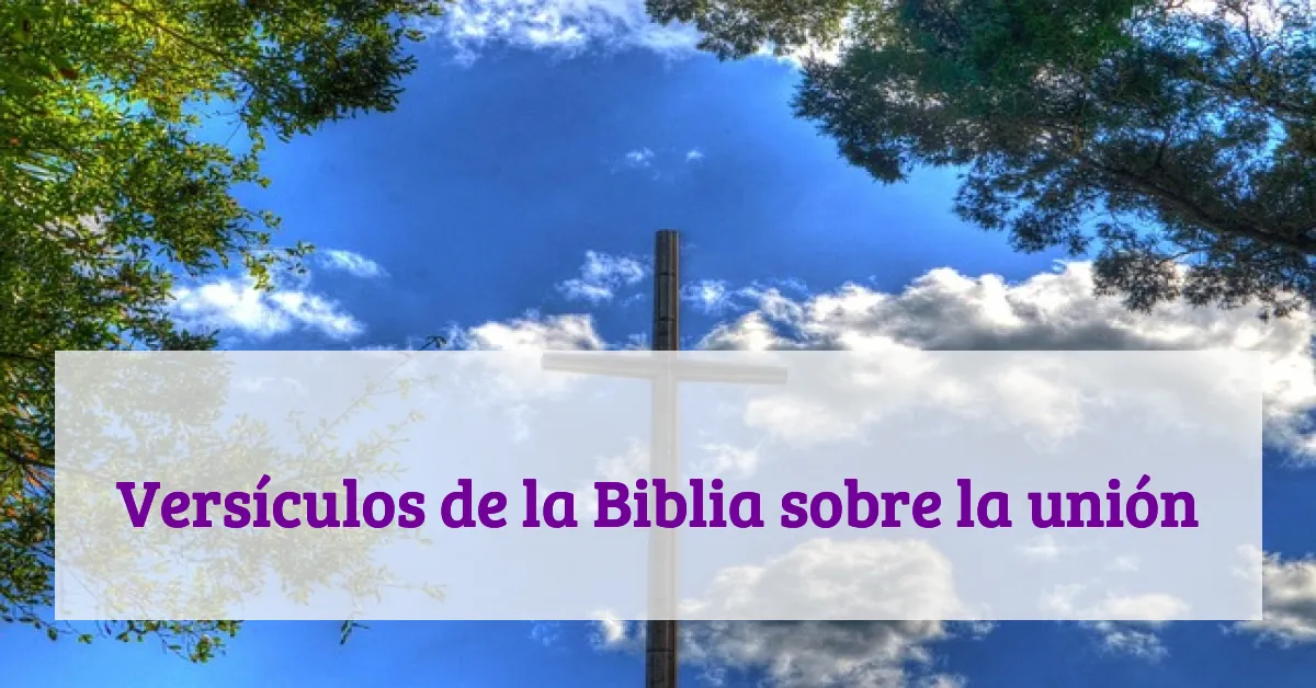 Versículos de la Biblia sobre la unión