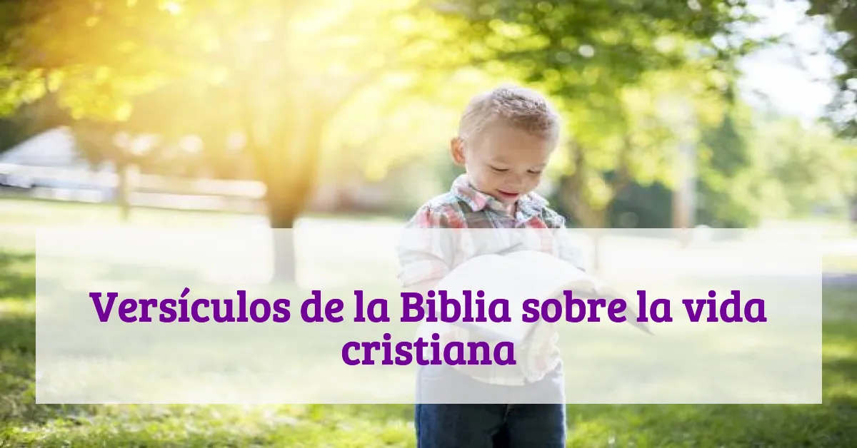 Versículos de la Biblia sobre la vida cristiana