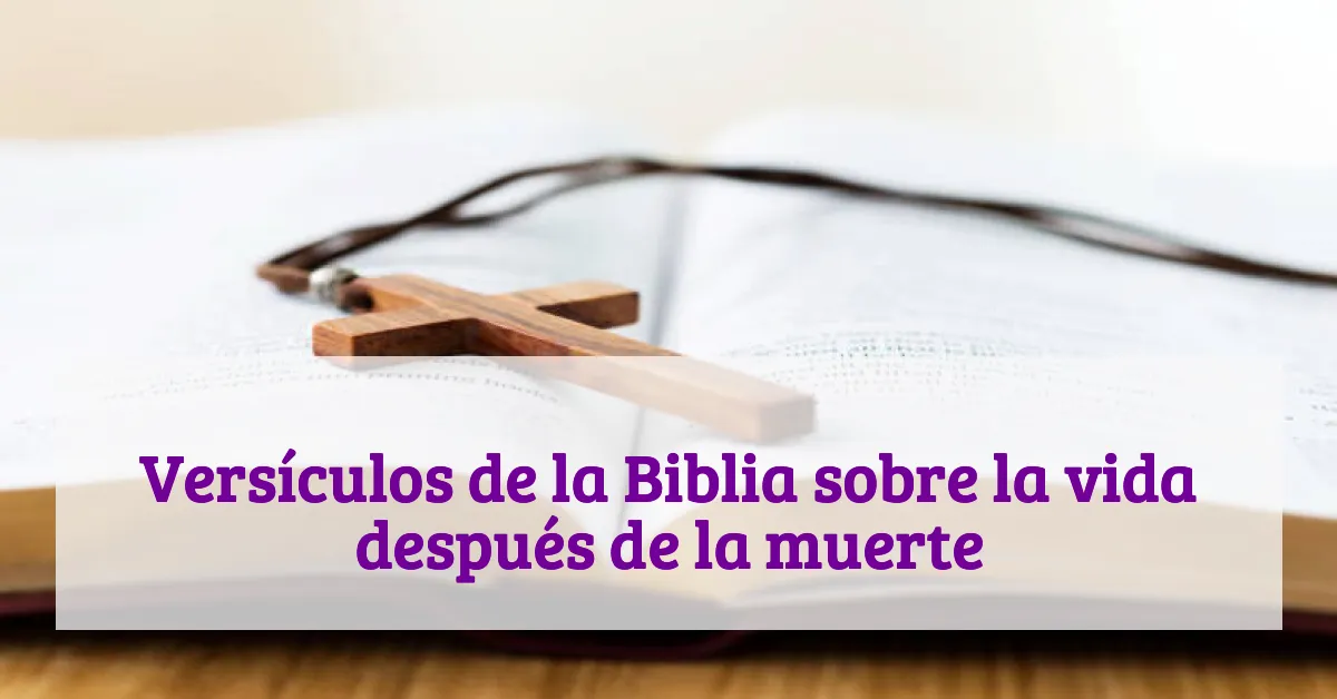 Versículos de la Biblia sobre la vida después de la muerte