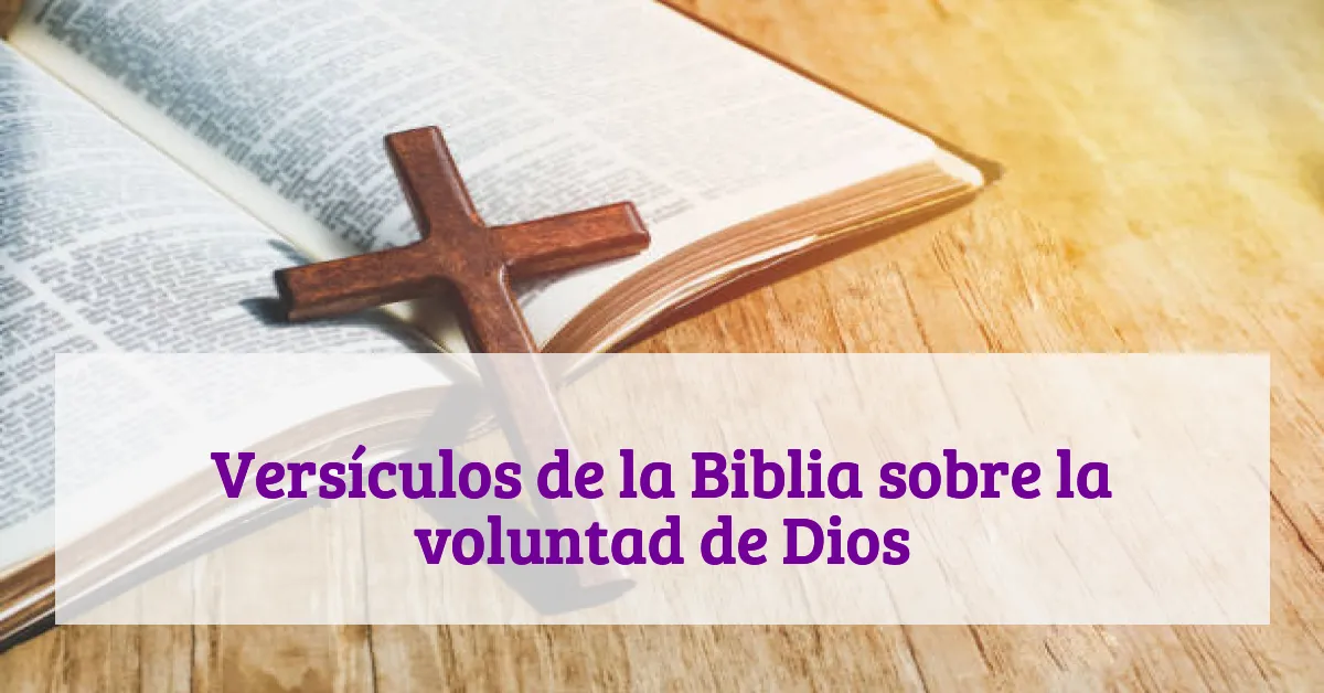 Versículos de la Biblia sobre la voluntad de Dios