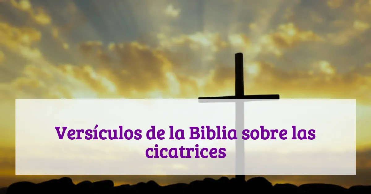 Versículos de la Biblia sobre las cicatrices