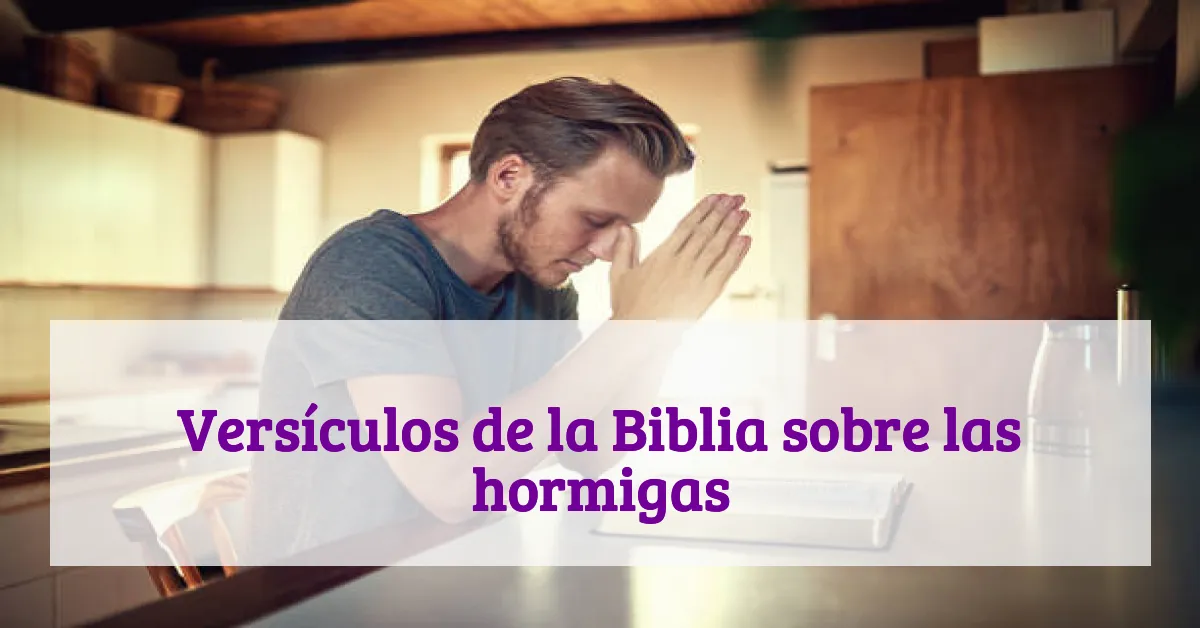 Versículos de la Biblia sobre las hormigas