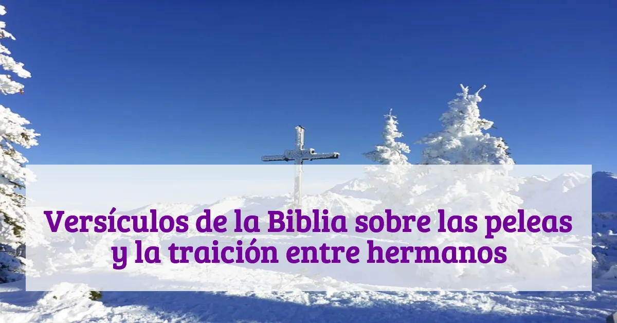 Versículos de la Biblia sobre las peleas y la traición entre hermanos