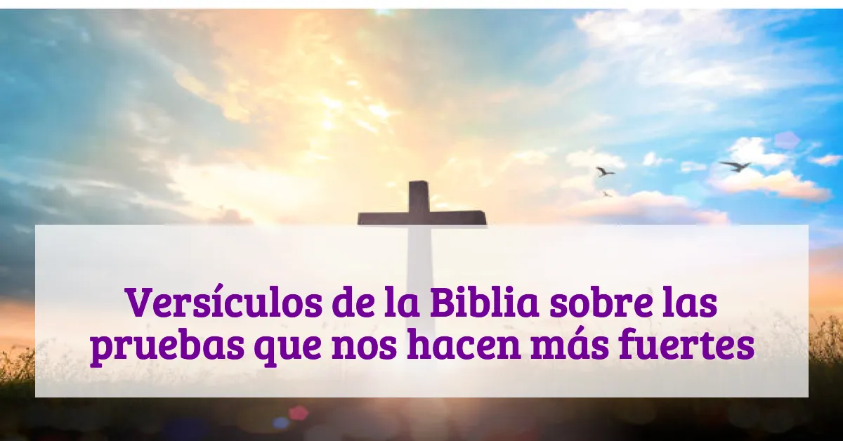 Versículos de la Biblia sobre las pruebas que nos hacen más fuertes