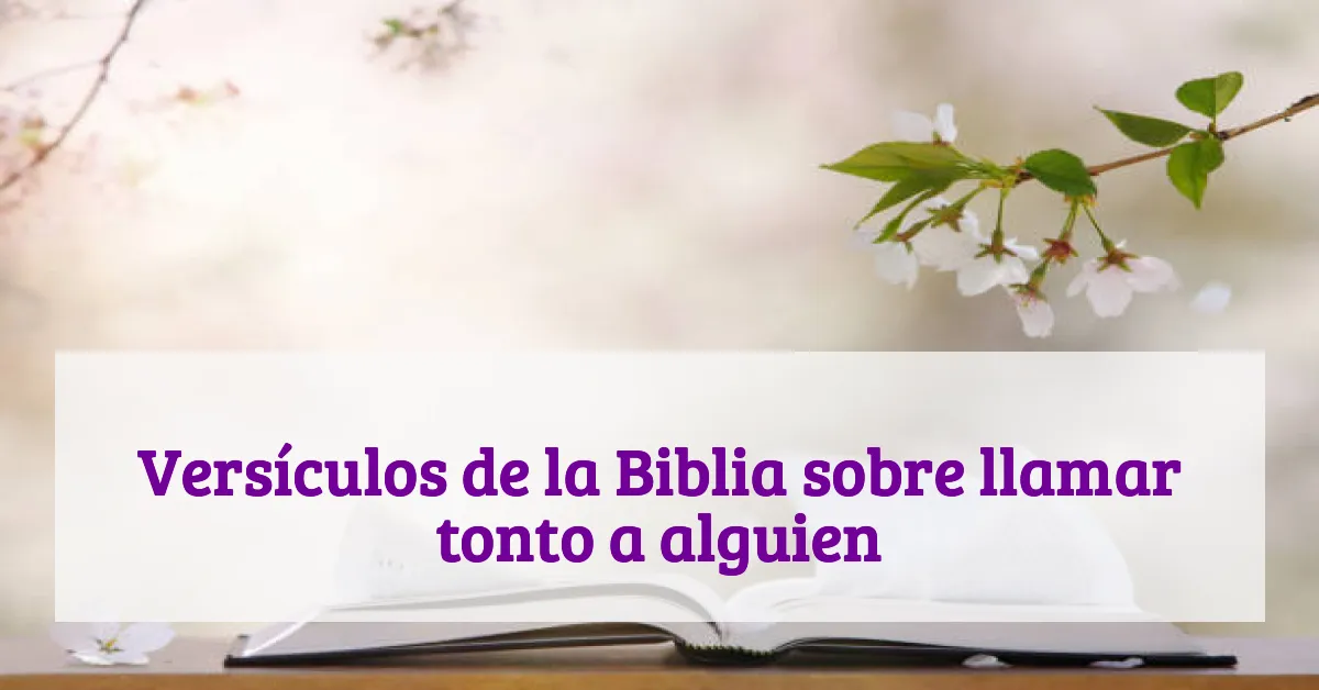 Versículos de la Biblia sobre llamar tonto a alguien