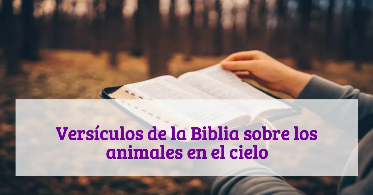 Versículos de la Biblia sobre los animales en el cielo