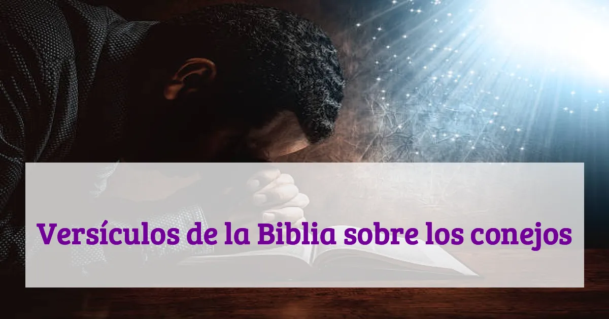Versículos de la Biblia sobre los conejos
